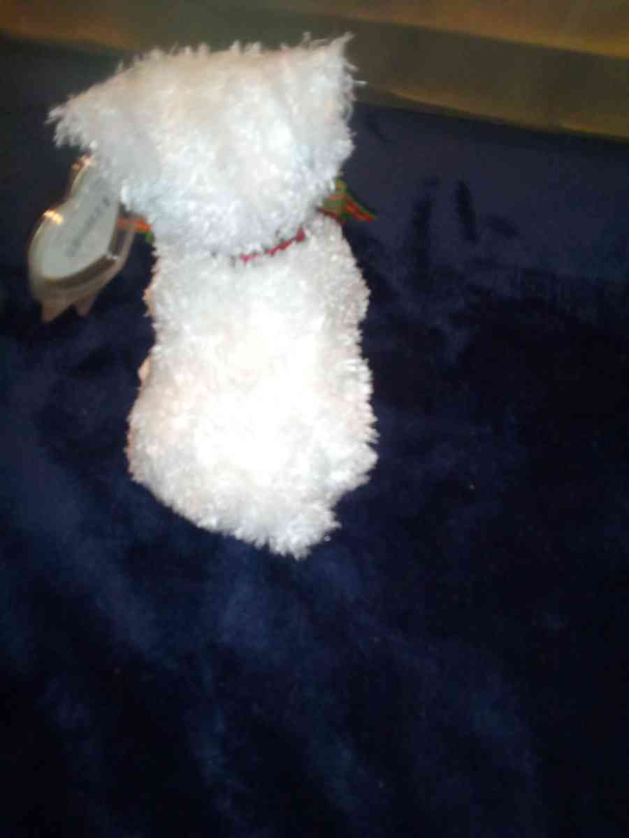 2001 Ty beanie babies Kirby mint selling collection off - New Port Richey, Florida - FleaMarketBay