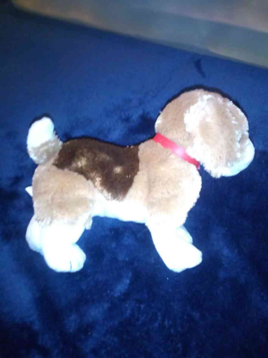 2003 Ty beanie babies side kick mint selling collection off - New Port Richey, Florida