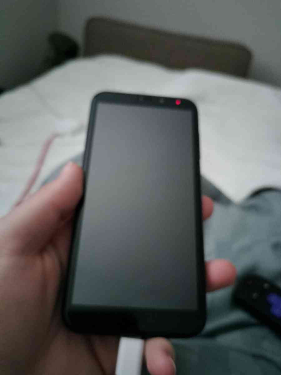 Android - Bend, Oregon