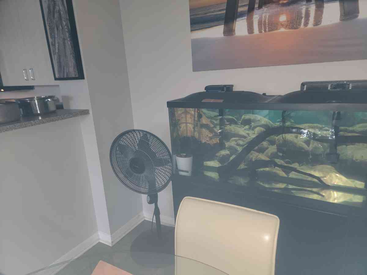 75 gallon Aquarium - Pembroke Pines, Florida - FleaMarketBay