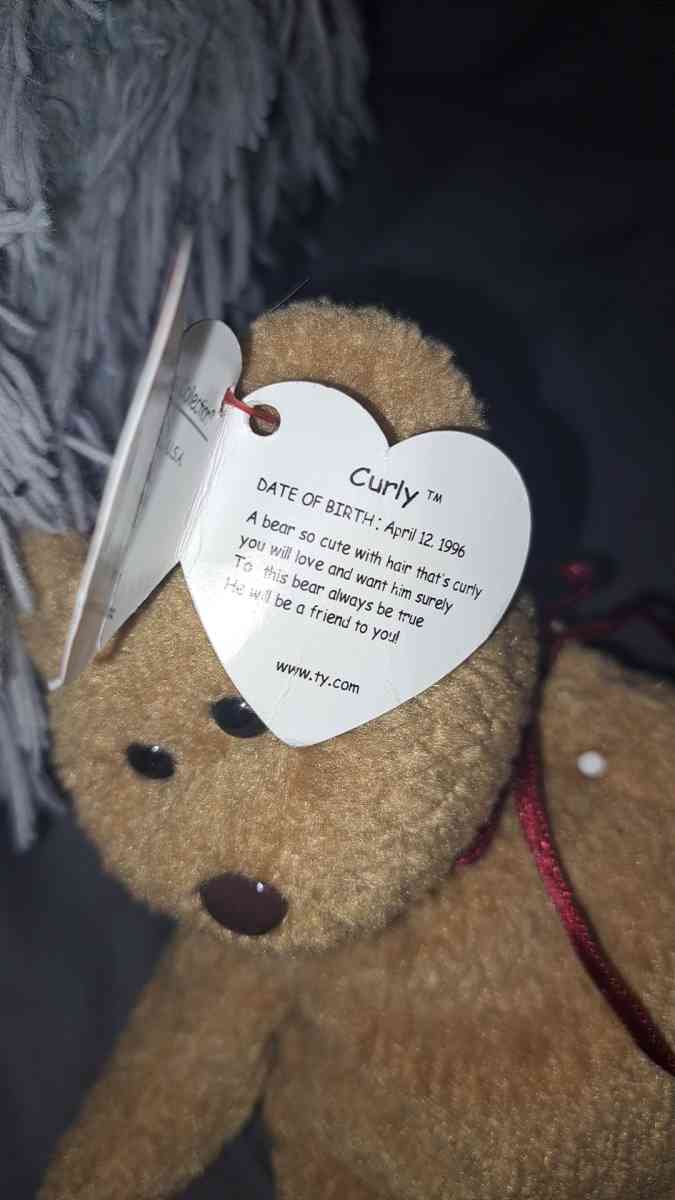 Beanie Babies Curly The Besr - Cincinnati, Ohio