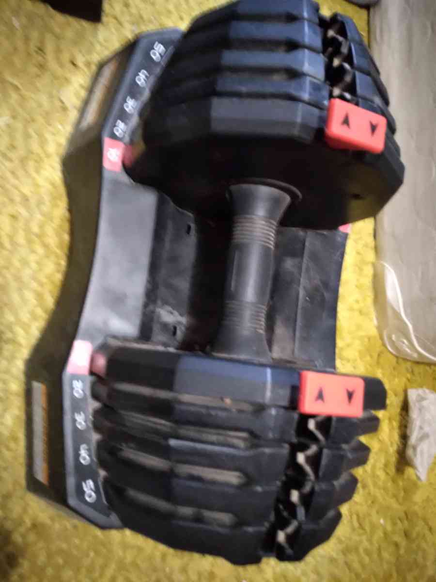adjustable dumbbells - La Mesa, New Mexico