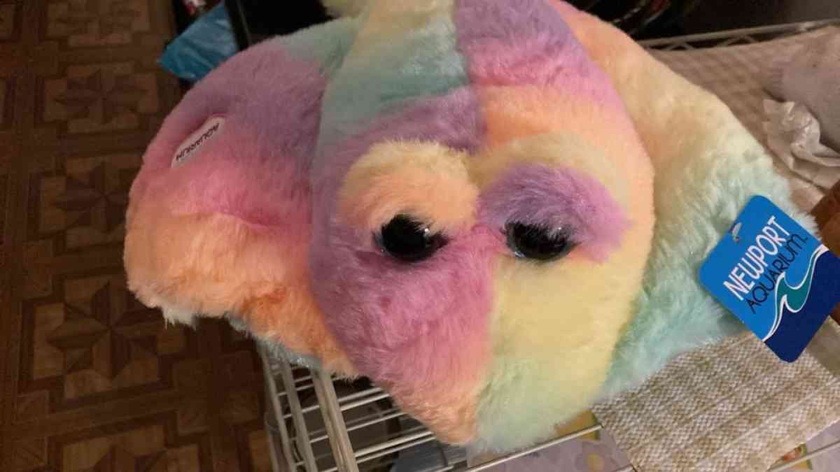 child teddy - Louisville, Kentucky