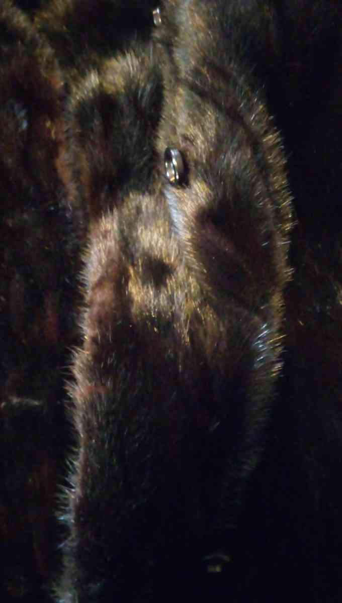 black mink jacket - Winston Salem, North Carolina - FleaMarketBay