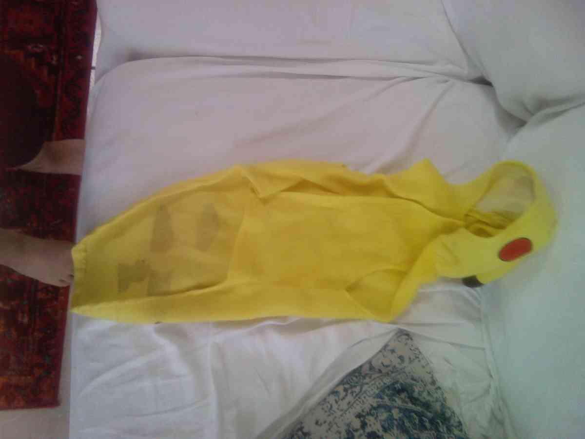 dog shirt Pikachu for large dogs - Casselberry, Florida - FleaMarketBay