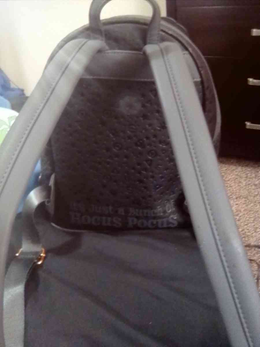 back packs - Manchester, New Hampshire - FleaMarketBay