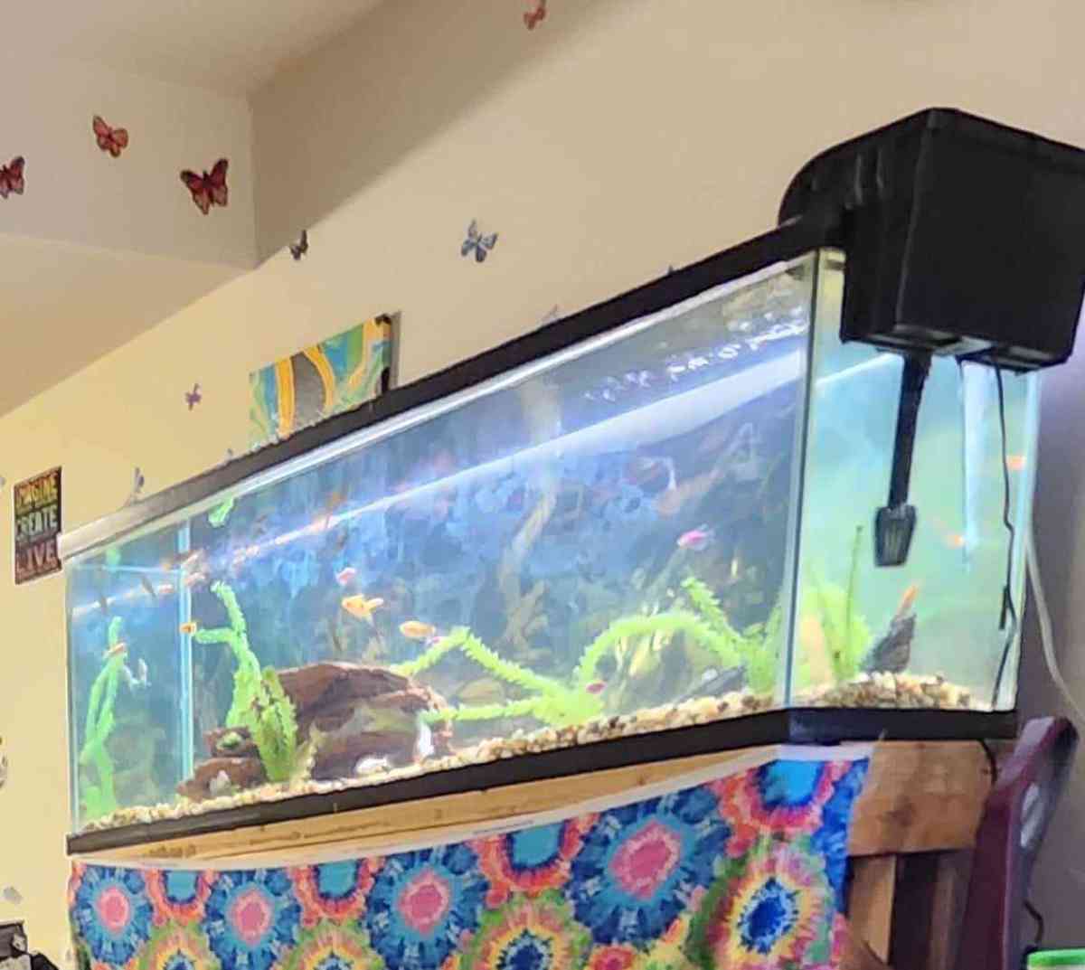 70 gallon Fish Tank - Mishawaka, Indiana - FleaMarketBay