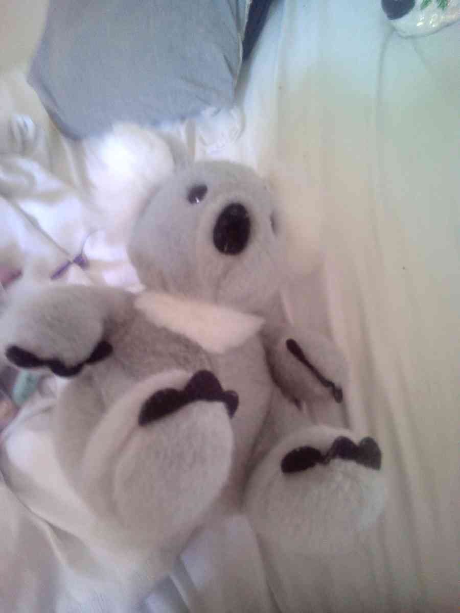 koala plush