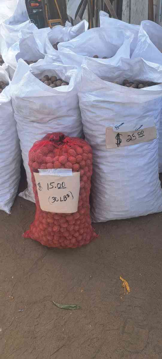 walnuts Chandlers - Tulare, California - FleaMarketBay