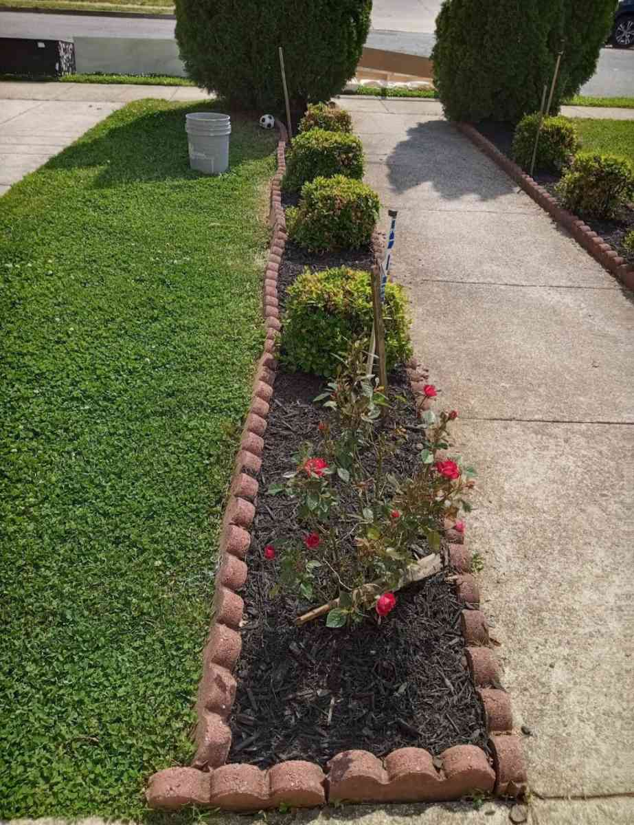 Servicio De Jardineria - Alexandria, Virginia - FleaMarketBay