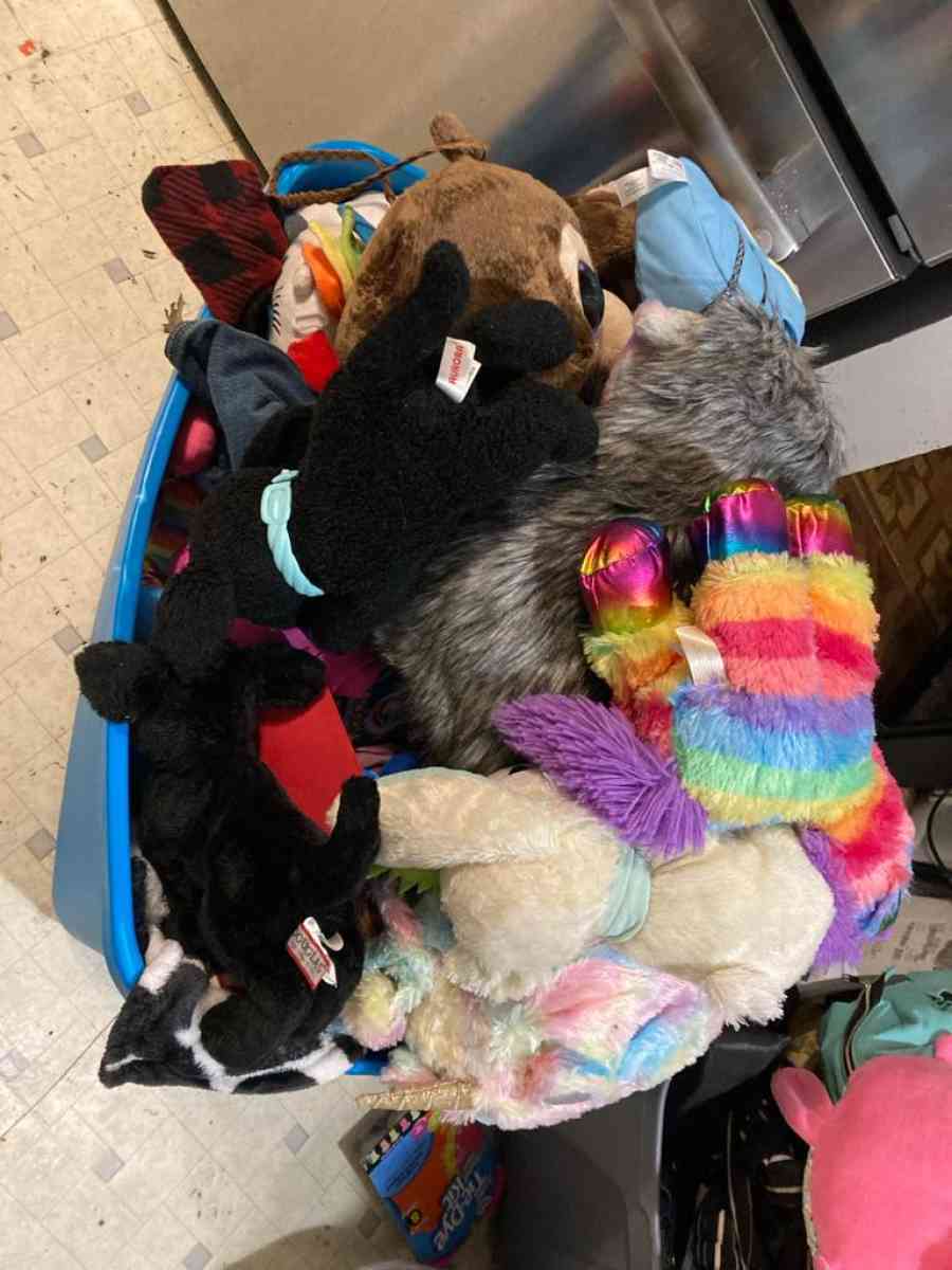 child teddy - Louisville, Kentucky - FleaMarketBay