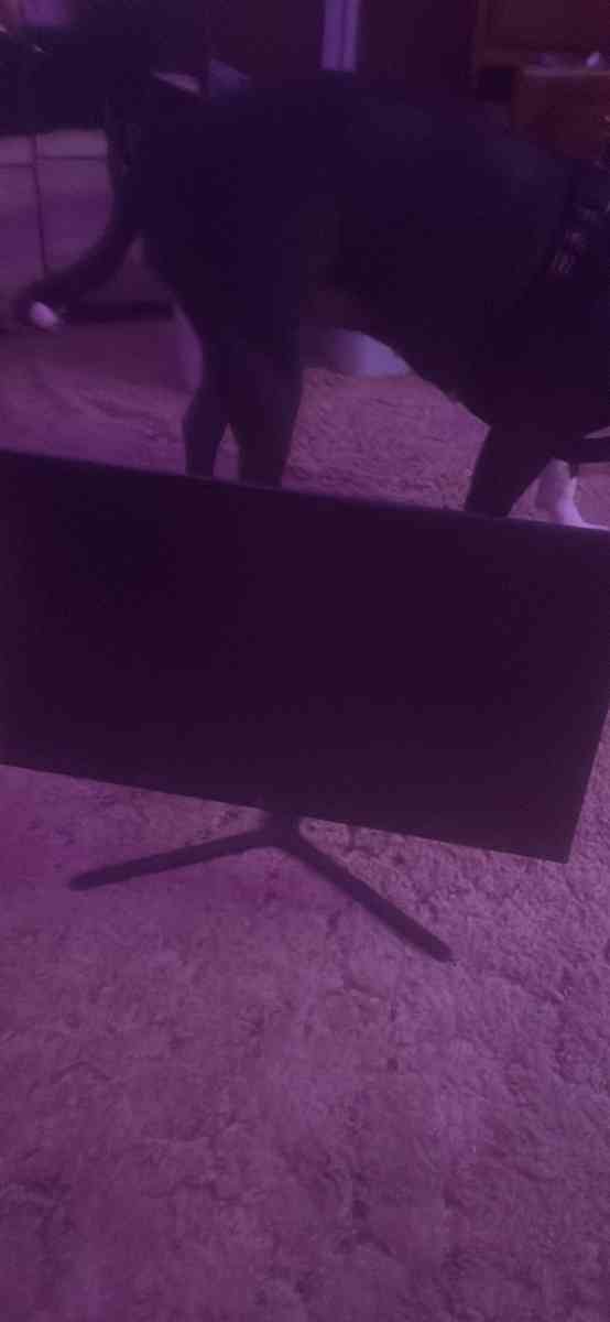 Monitor tradeing for laptop - Pemberton, New Jersey - FleaMarketBay