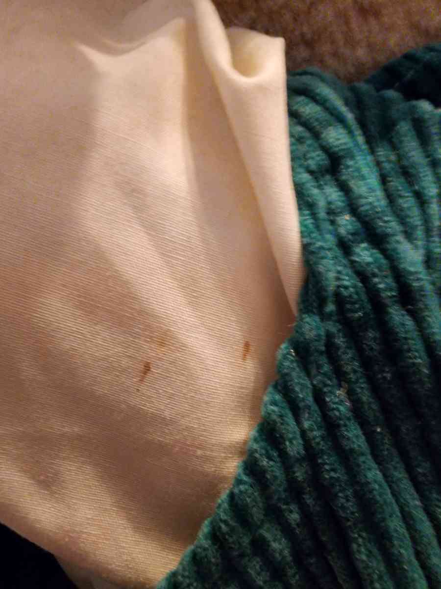 Vintage Animated Mouse - Longview, Washington - FleaMarketBay