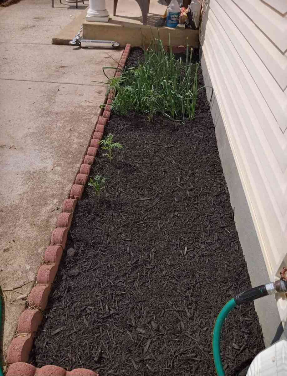 Servicio De Jardineria - Alexandria, Virginia - FleaMarketBay