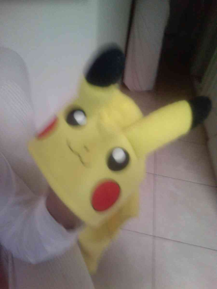 dog shirt Pikachu for large dogs