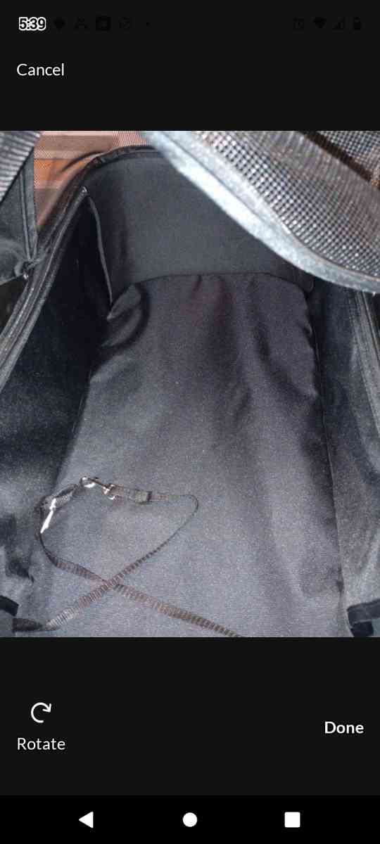 Dog Carseat and stroller combo - Holiday, Florida - FleaMarketBay