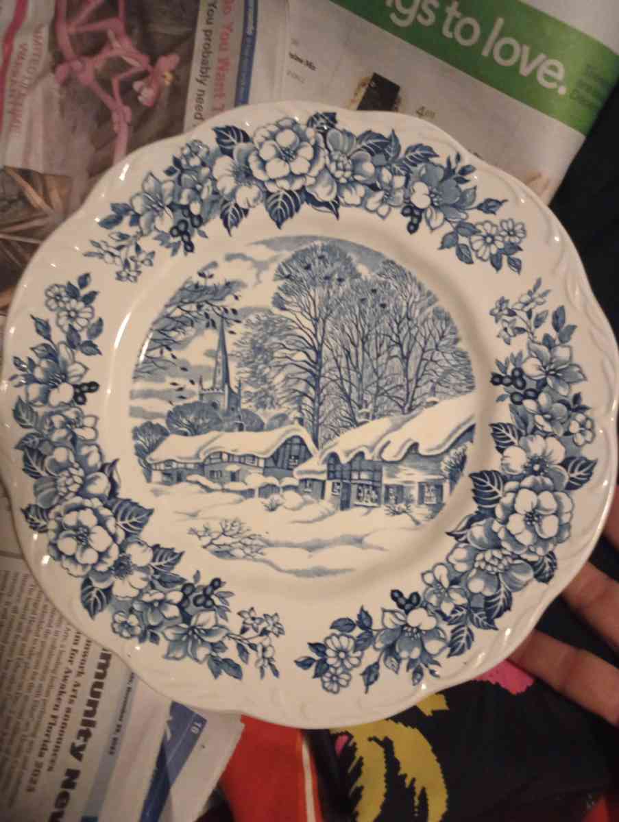 DECORATIVE PLATE EXCELLENT CONDITION - Hernando, Florida