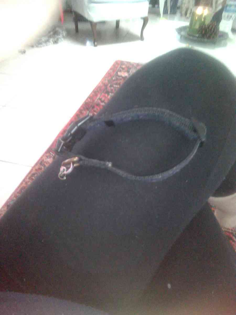 small dog or cat Mickey mouse collar - Casselberry, Florida - FleaMarketBay