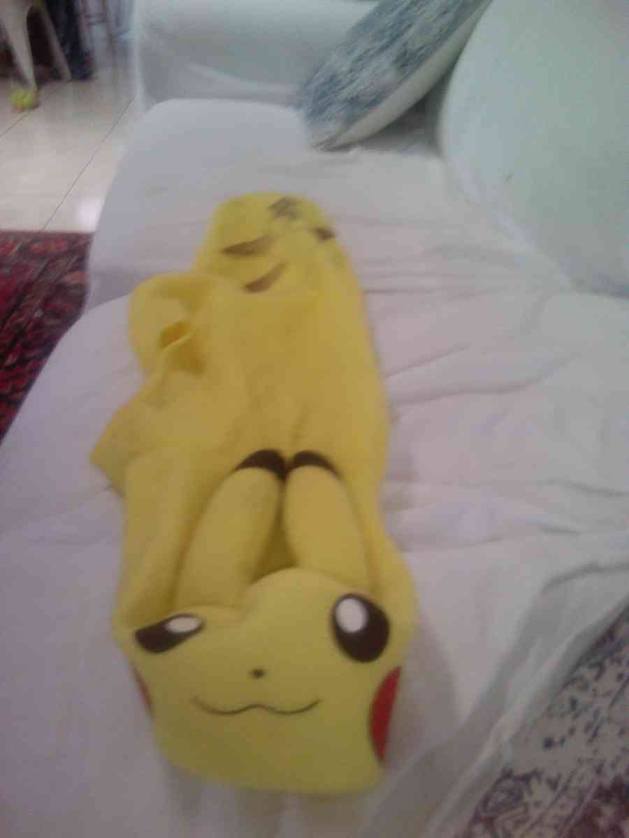 dog shirt Pikachu for large dogs - Casselberry, Florida - FleaMarketBay