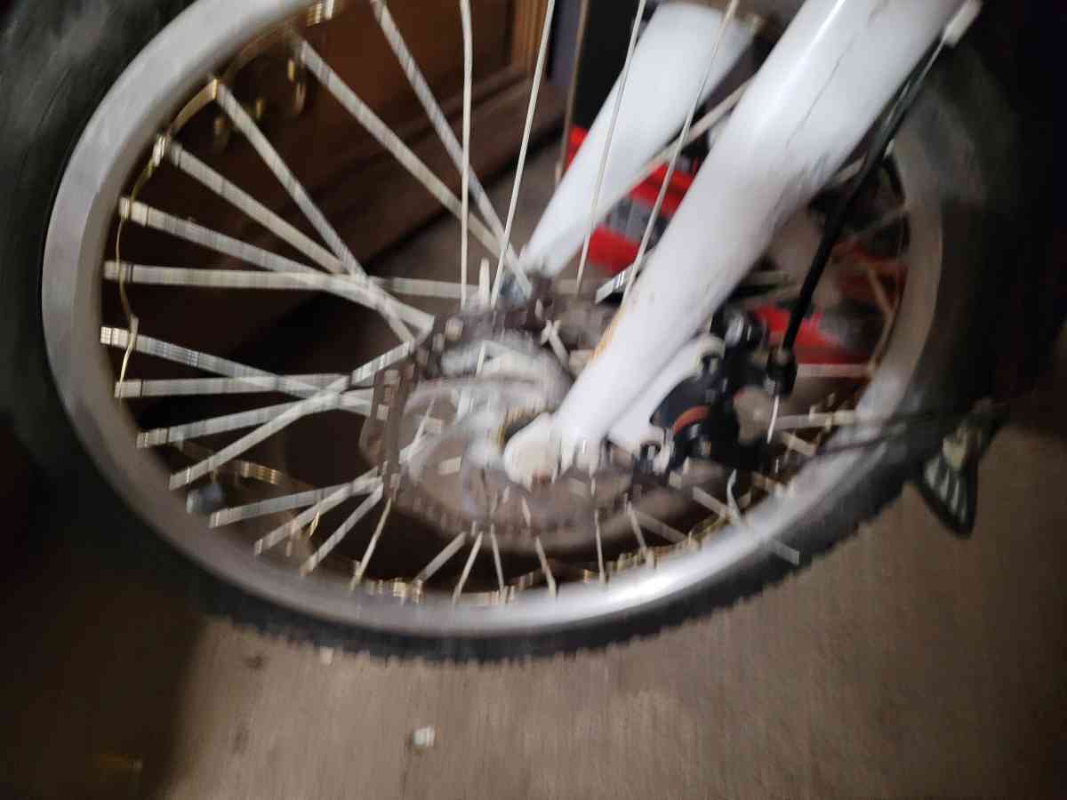 totem ebike - Ault, Colorado - FleaMarketBay