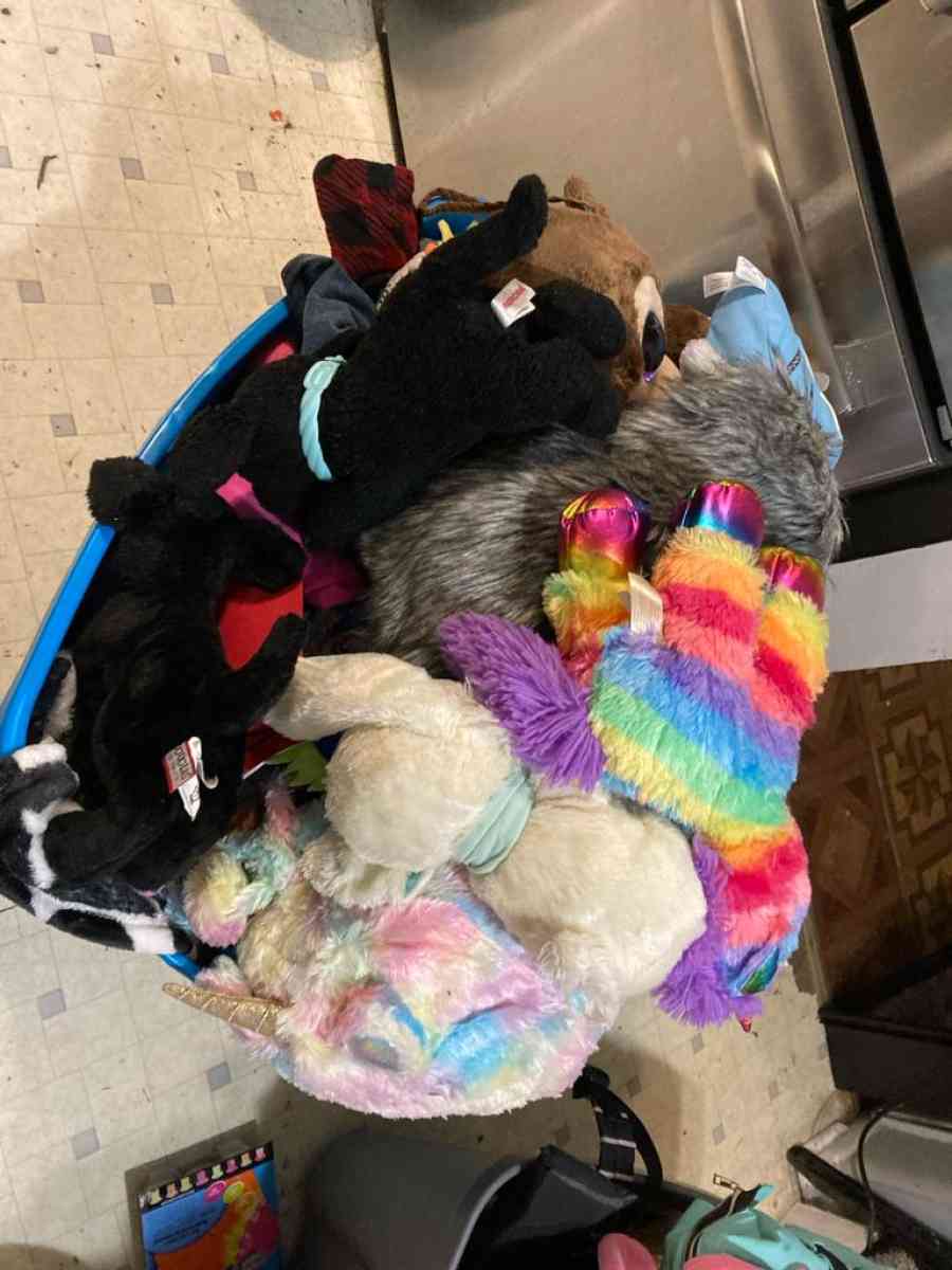 child teddy - Louisville, Kentucky - FleaMarketBay