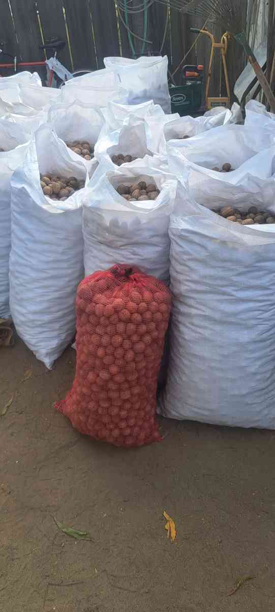 walnuts Chandlers - Tulare, California - FleaMarketBay