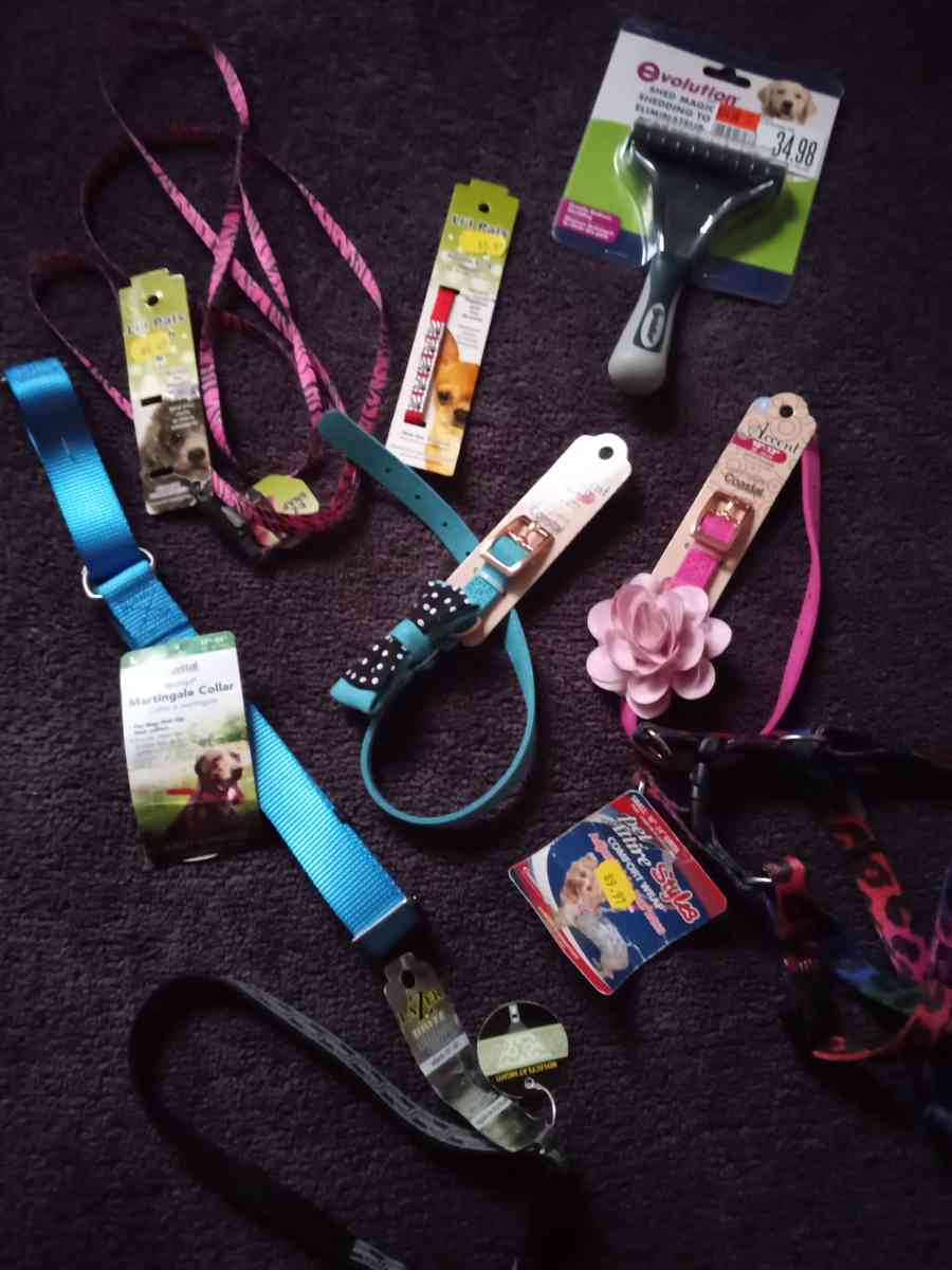 Pet Collars