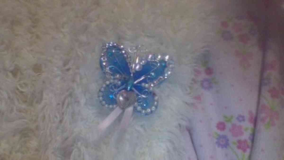 hairclip - Irving, Texas