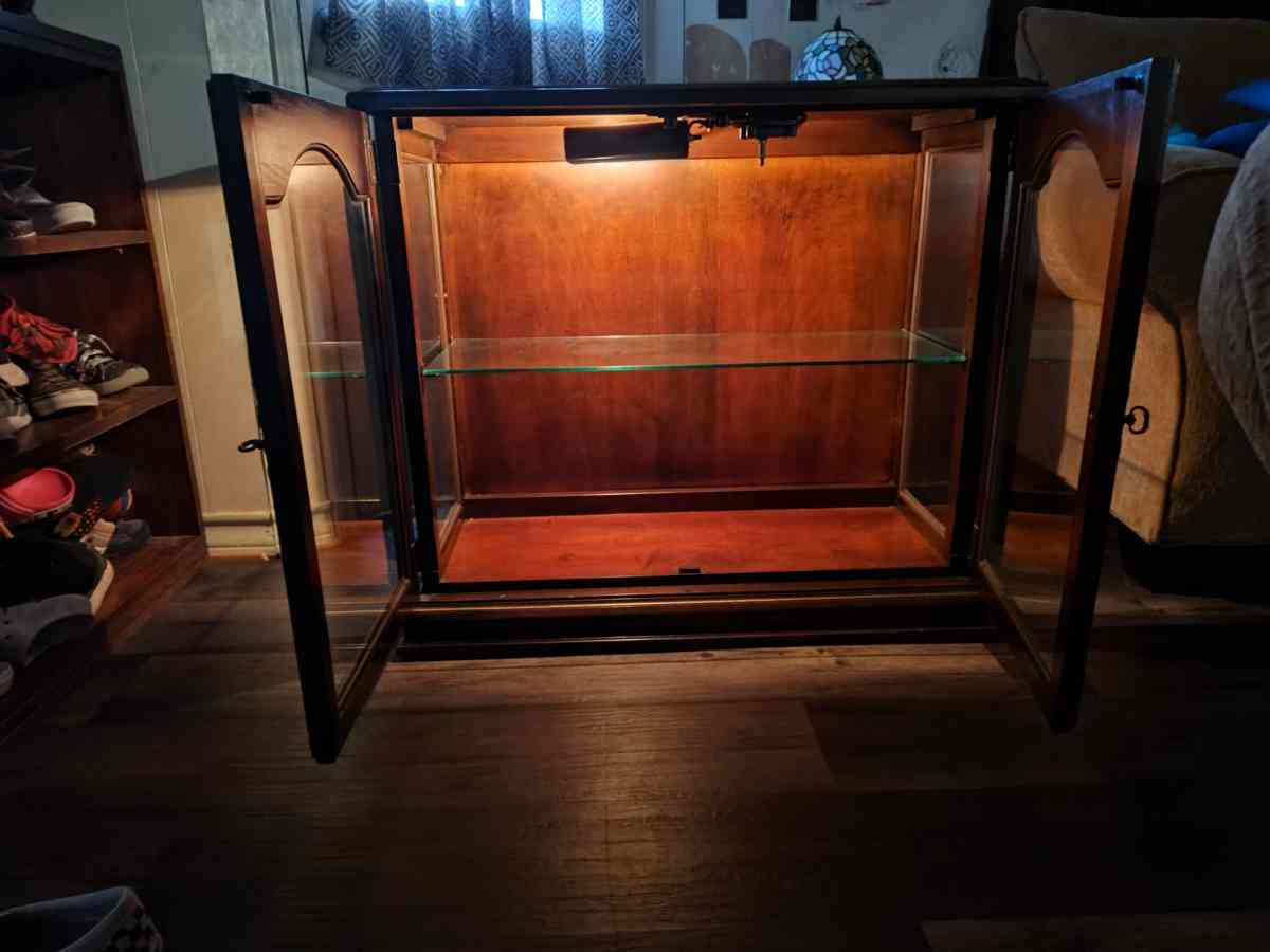 Lighted Display Cabinet - Bacliff, Texas - FleaMarketBay