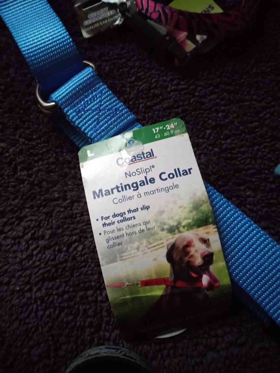 Pet Collars - Chicago, Illinois - FleaMarketBay