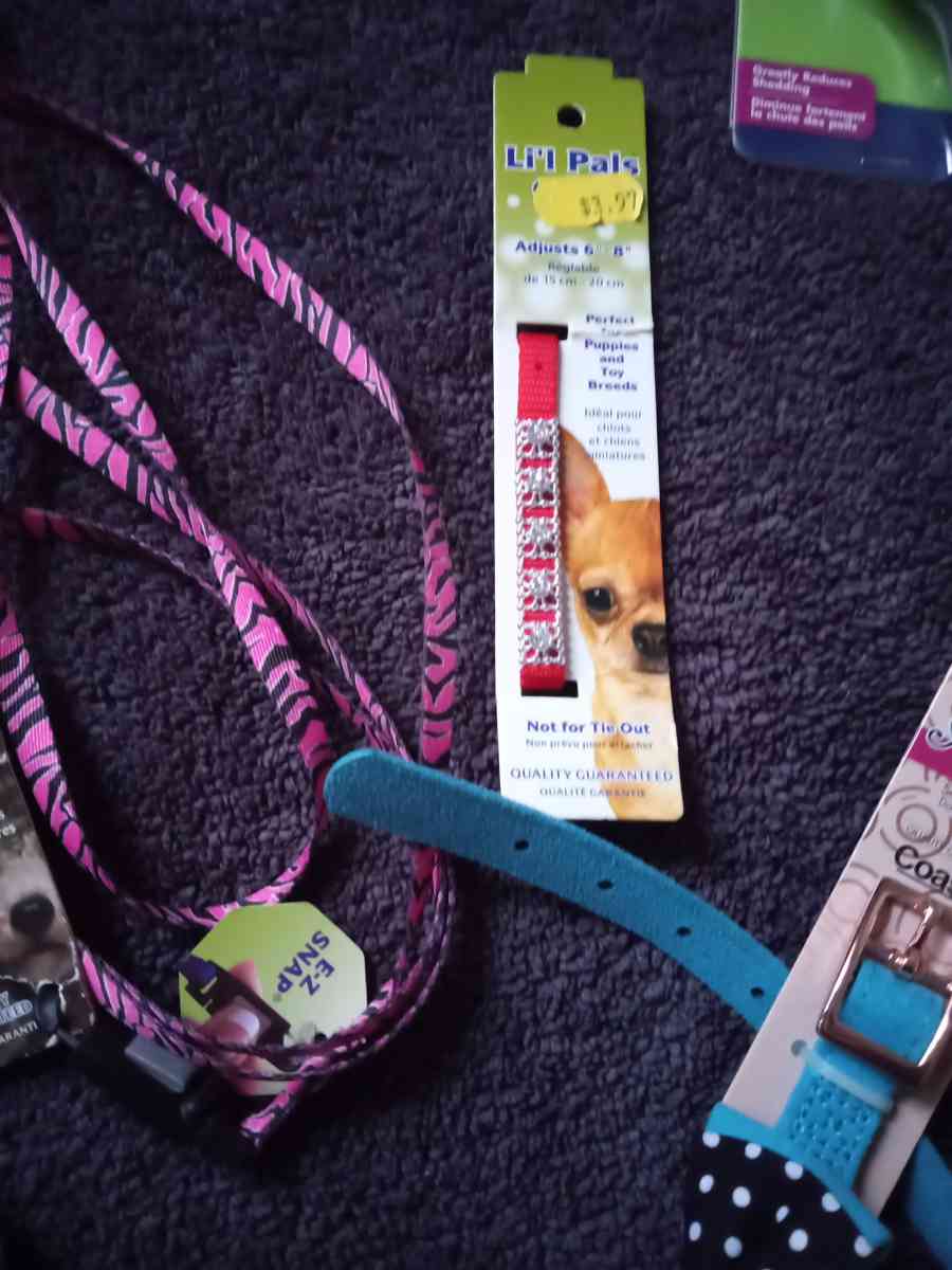 Pet Collars Grooming Tool - Chicago, Illinois - FleaMarketBay