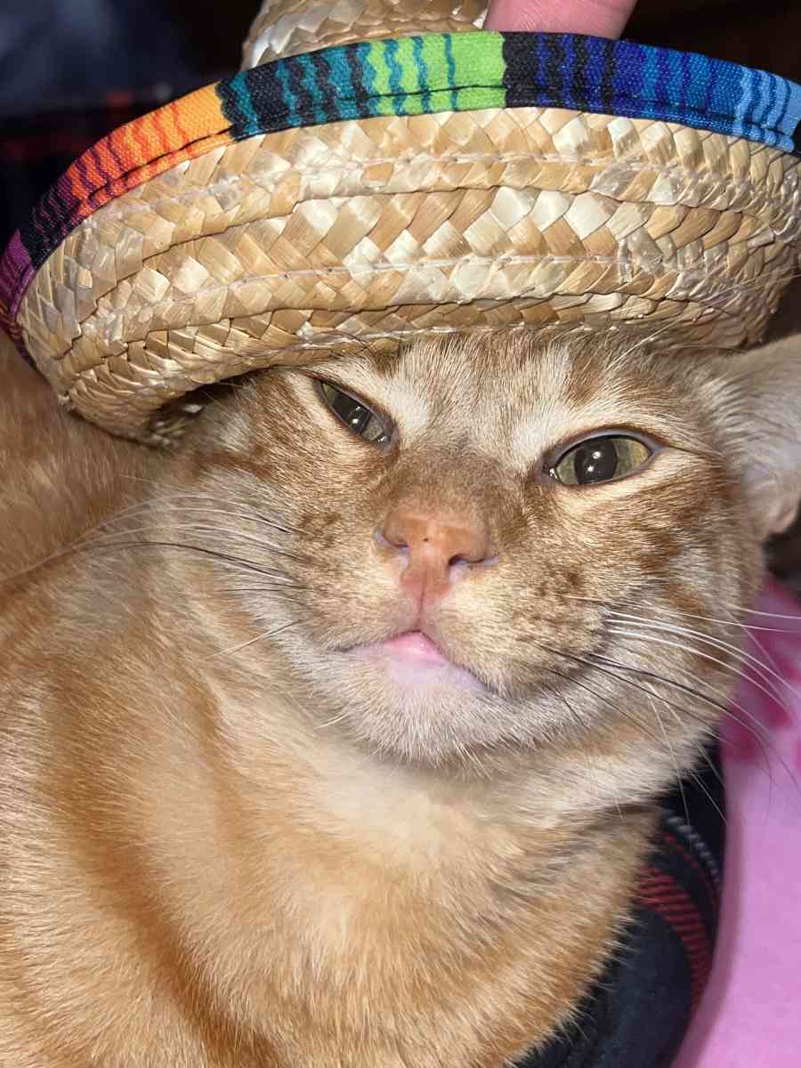 sombrero straw hat for dolls - Portland, Oregon - FleaMarketBay