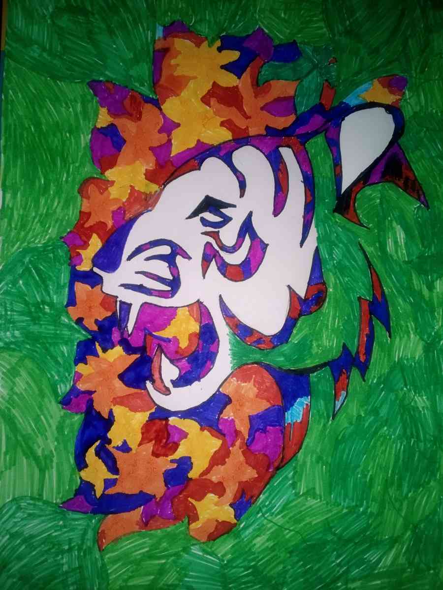 tiger - Steamboat Springs, Colorado