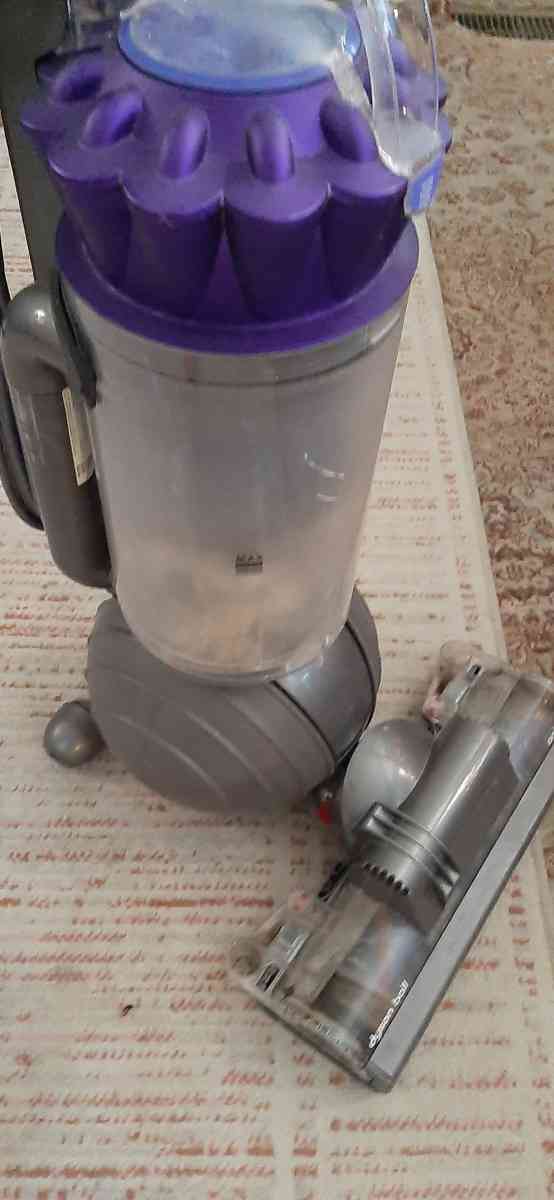 Dyson Animal - Indianapolis, Indiana