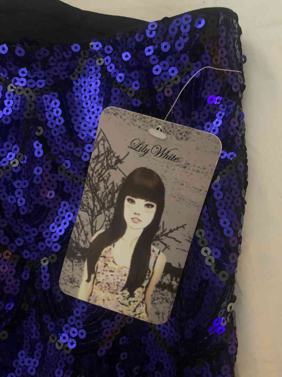 brand new sequined mini skirt - Spring Hill, Florida - FleaMarketBay