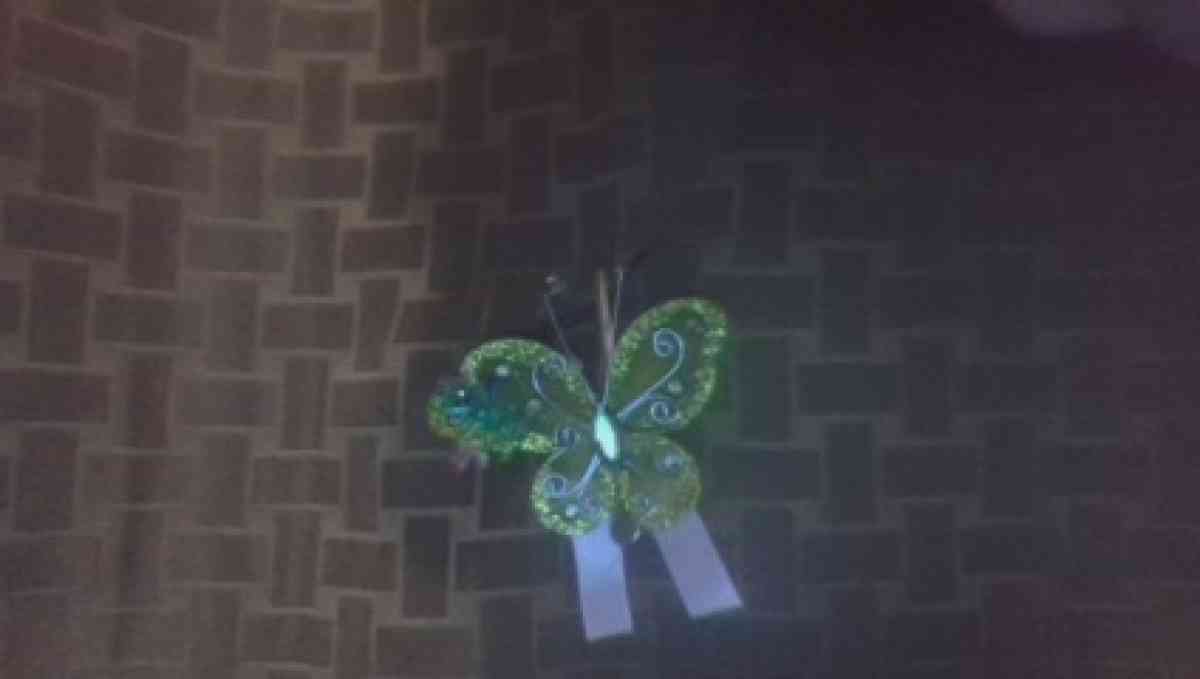 hair clip - Irving, Texas