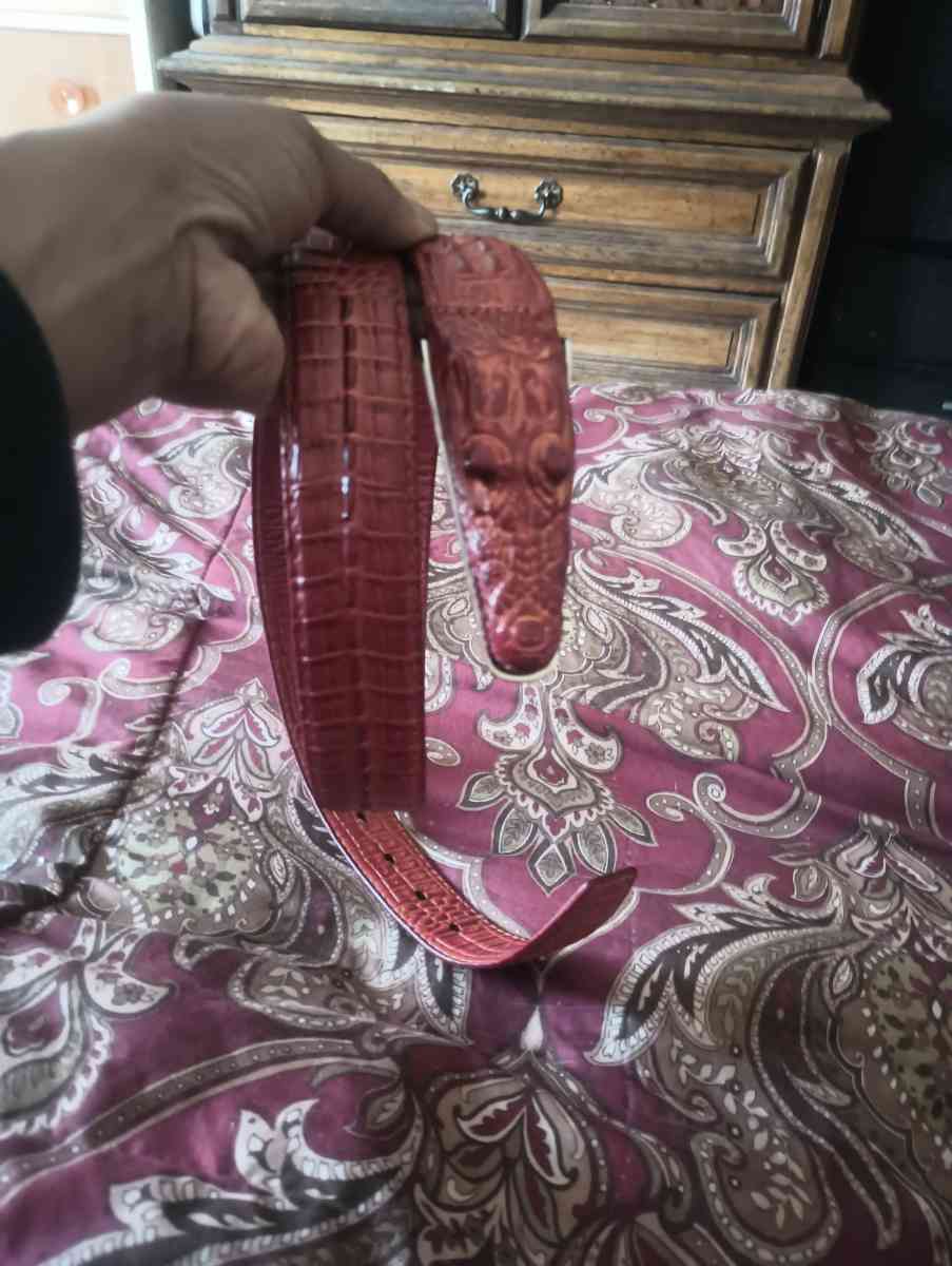 Brown Alligator belt for a man - Stockton, California - FleaMarketBay
