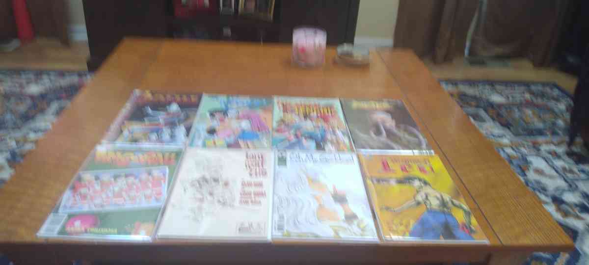 back stock blow out slnglelssues lots of 25 All different co - Chicago Ridge, Illinois