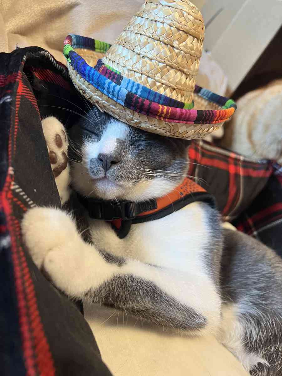 sombrero straw hat for dolls - Portland, Oregon - FleaMarketBay