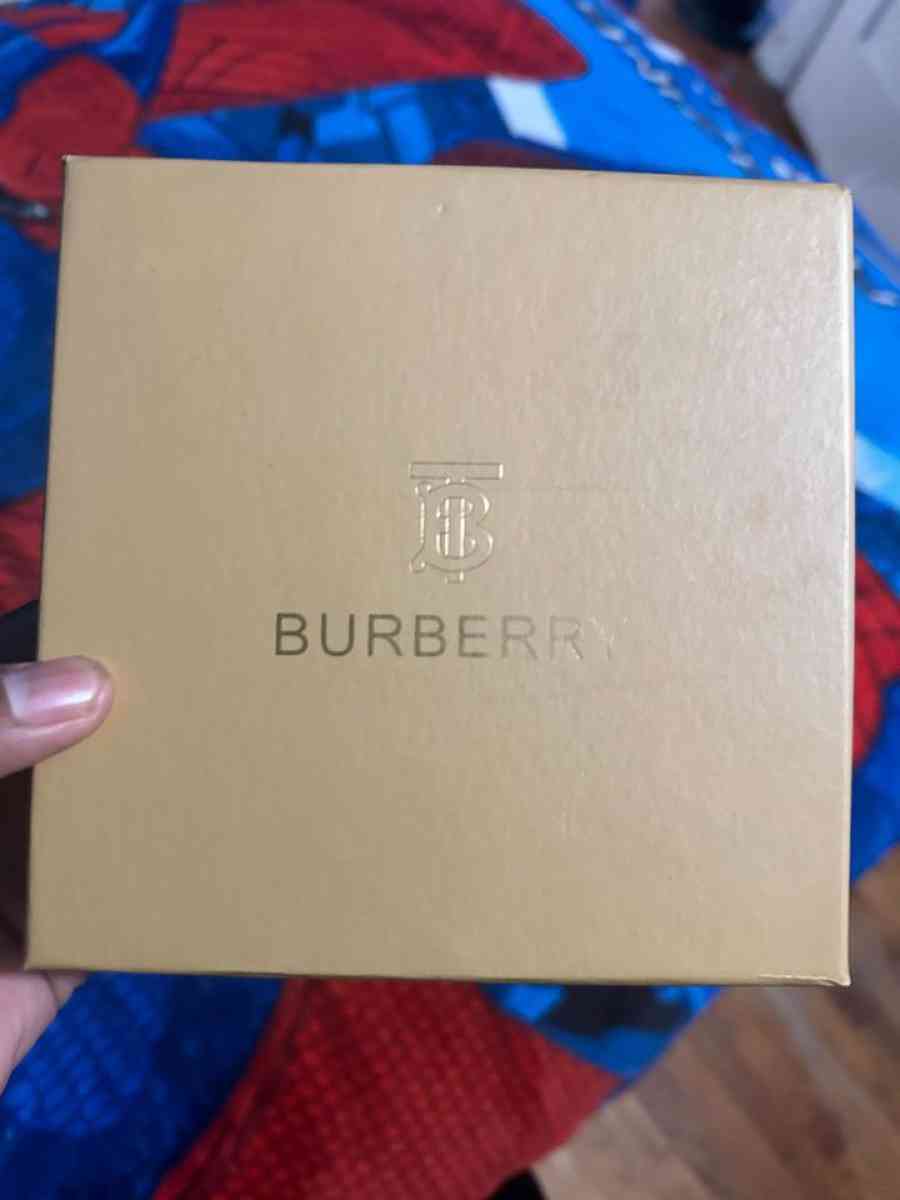 Burberry belt - San Diego, California