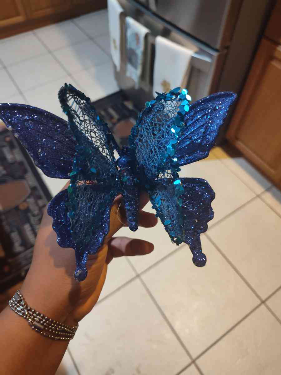 Blue butterflies - Port Saint Lucie, Florida