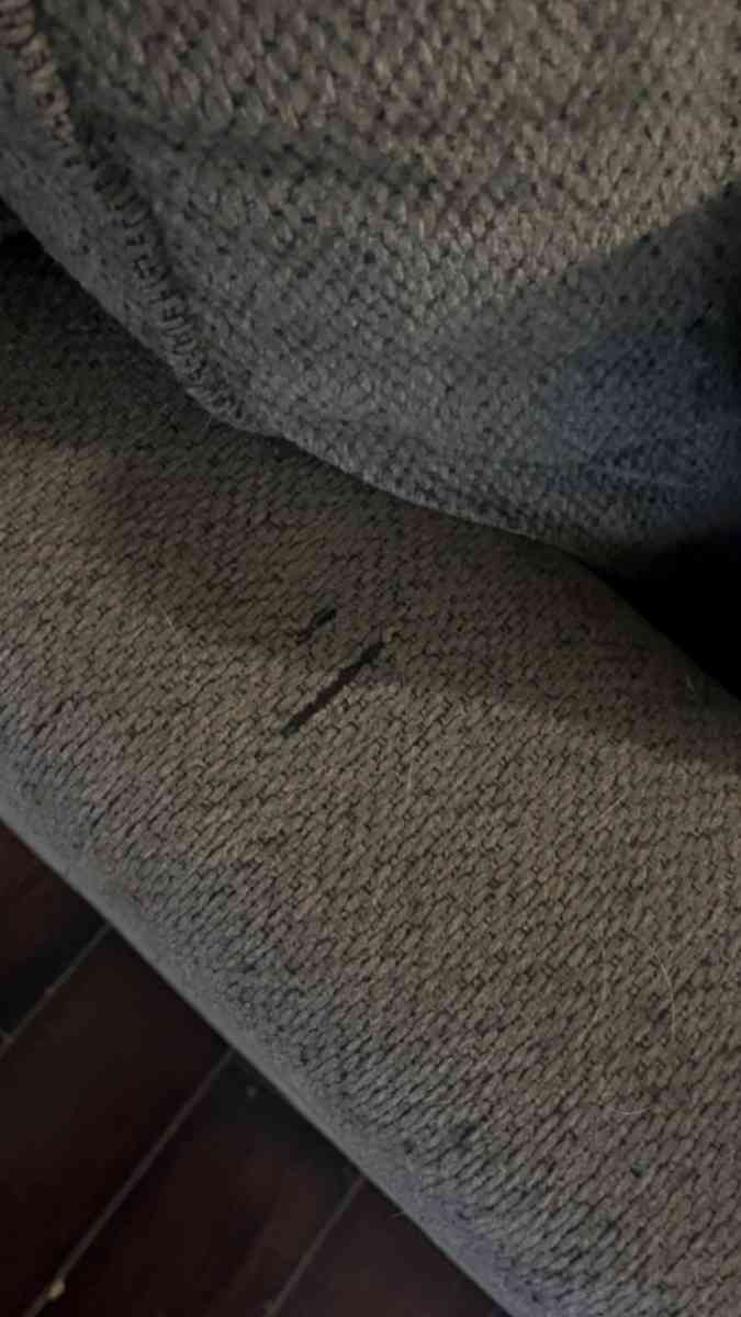 Ashley Brand Sectional