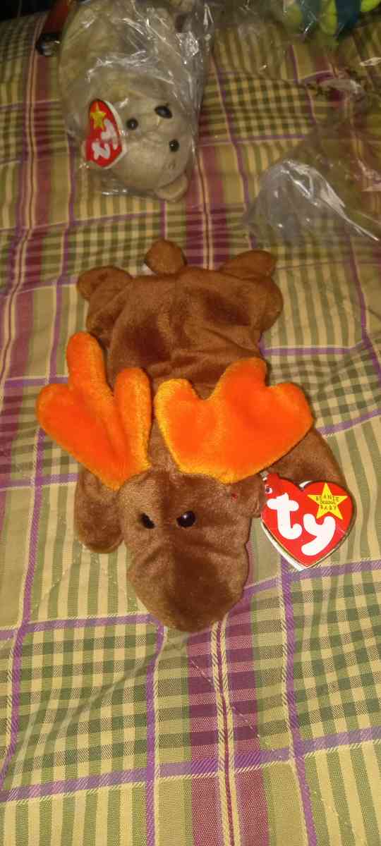 ty chocolate beanie baby moouse 1993 - Douglasville, Georgia - FleaMarketBay