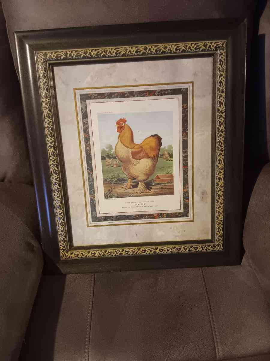 pictures frames - Auburn, Georgia - FleaMarketBay