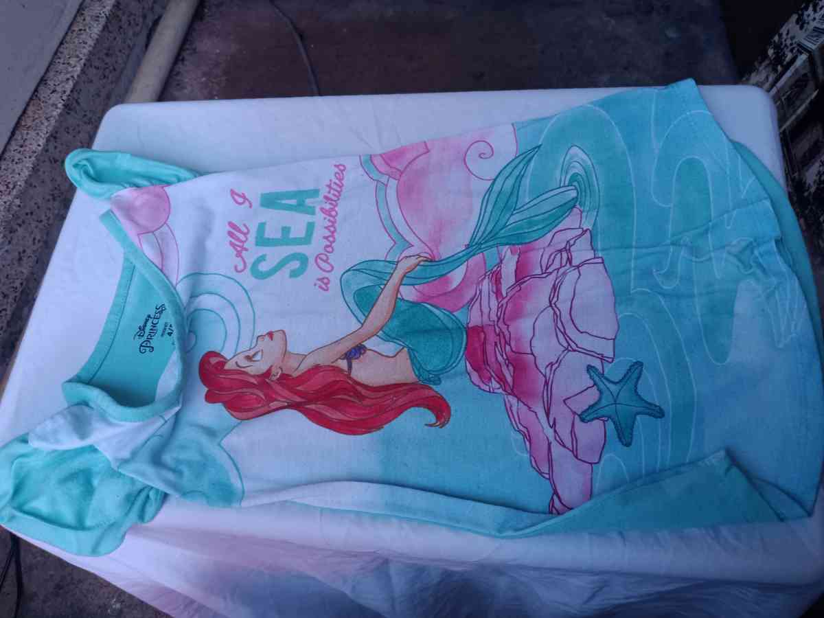 Disney princess pajamas shirt - Winter Park, Florida