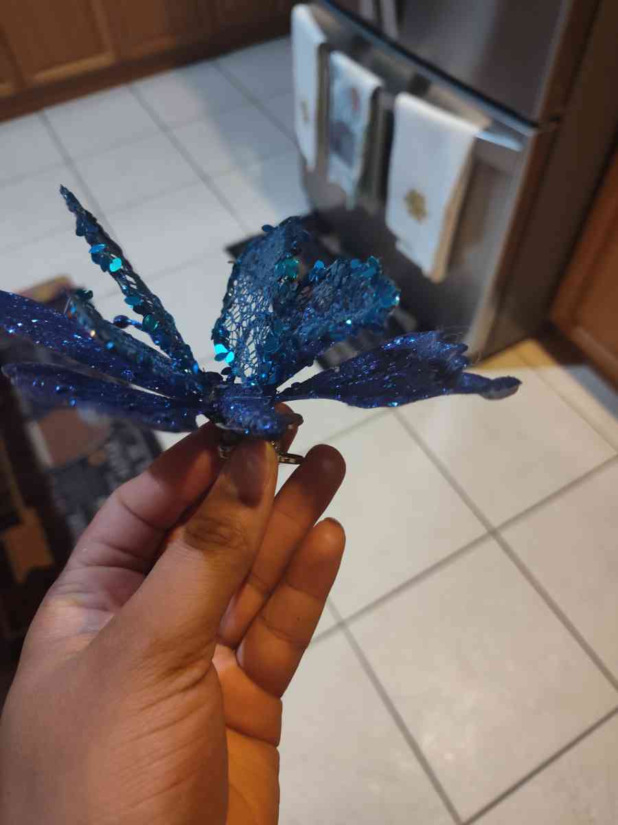 Blue butterflies - Port Saint Lucie, Florida - FleaMarketBay