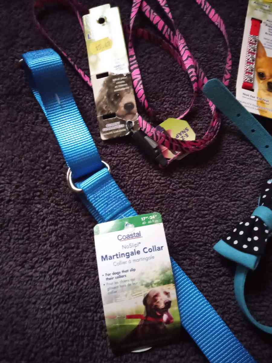 Pet Collars Grooming Tool - Chicago, Illinois - FleaMarketBay