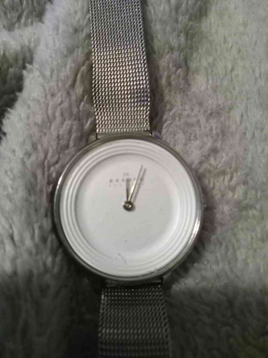Skagen SKW2332 Ditte White Dial Stainless Sreel Womens watch - Lakeland, Florida - FleaMarketBay