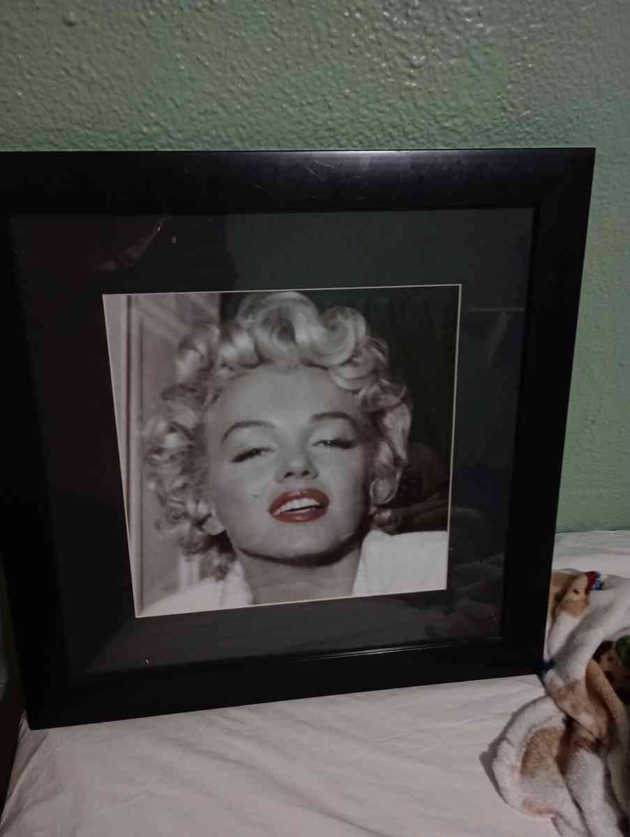 Marilyn Monroe picture - Port Richey, Florida - FleaMarketBay