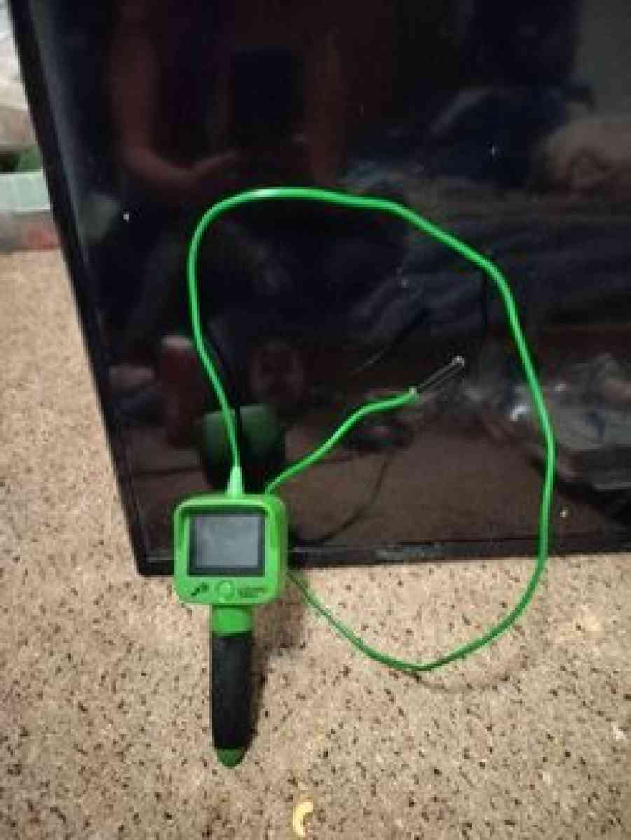 Lizard Cam - Spokane, Washington - FleaMarketBay